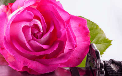 7 Tipps, wie eine Trennung auf jeden Fall in einem Rosenkrieg endet