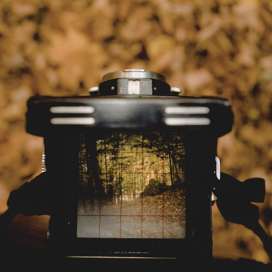 Kamera im Wald im Herbst Claudia Kielmann Stark nach Trennung